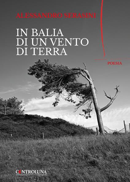 In balia di un vento di terra - Alessandro Serasini - copertina