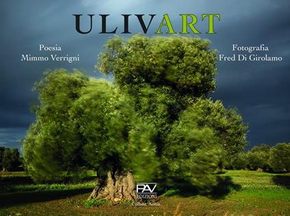 Ulivart - Mimmo Verrigni - copertina
