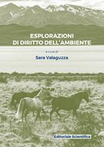 Esplorazioni di diritto dell'ambiente