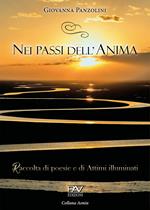 Nei passi dell'anima. Raccolta di poesie e di attimi illuminati