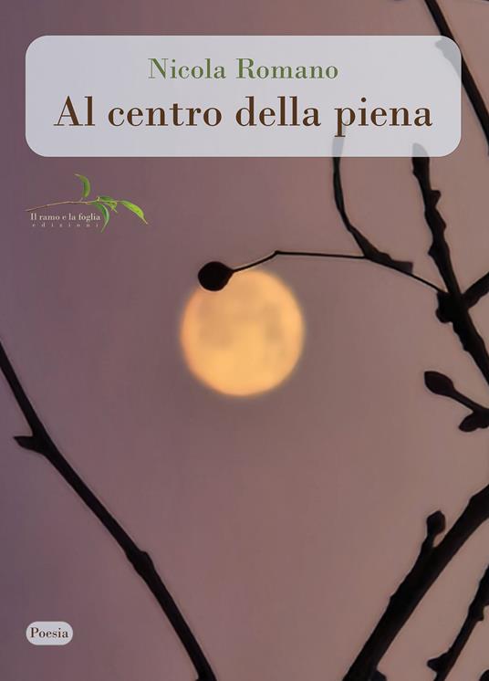 Al centro della piena - Nicola Romano - copertina