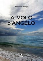 A volo d'angelo