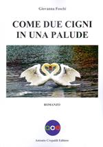 Come due cigni in una palude