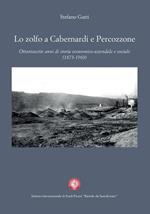 Lo zolfo a Cabernardi e Percozzone. Ottantasette anni di storia economico-aziendale e sociale (1873-1960)