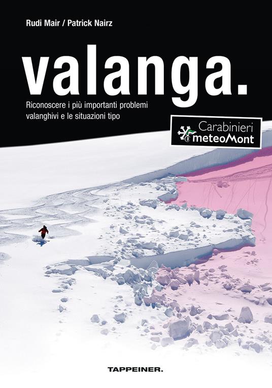 Valanga. Riconoscere le 10 più importanti situazioni tipo di pericolo valanghe. Ediz. ampliata - Rudi Mair,Patrick Nairz - copertina