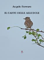 Il canto delle allodole