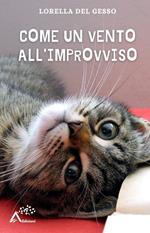 Come un vento all'improvviso