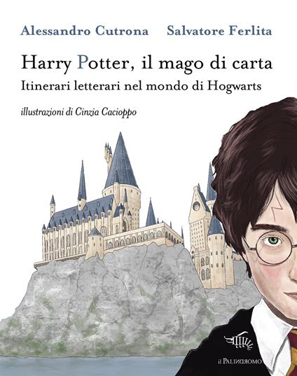 Harry Potter Prima Edizione Brossura Serena Riglietti - Guida ai libri di Harry  Potter