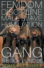 Femdom Discipline Male Slave Humiliation Gang - 5 book bundle