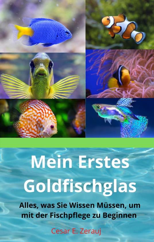 Mein Erstes Goldfischglas Alles, was Sie Wissen Müssen, um mit der Fischpflege zu Beginnen