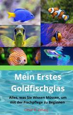 Mein Erstes Goldfischglas Alles, was Sie Wissen Müssen, um mit der Fischpflege zu Beginnen