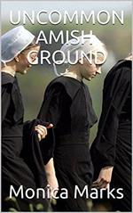 Uncommon Amish Ground