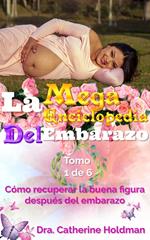 La Mega Enciclopedia Del Embarazo Tomo 1 De 6: Cómo recuperar la buena figura después del embarazo