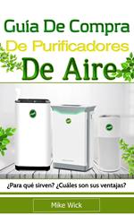 Guía De Compra De Purificadores De Aire: ¿Para qué sirven? ¿Cuáles son sus ventajas?