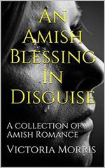 An Amish Blessing In Disguise