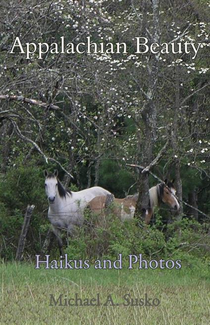 Haikus and Photos: Appalachian Beauty