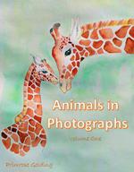 Animals in Photographs