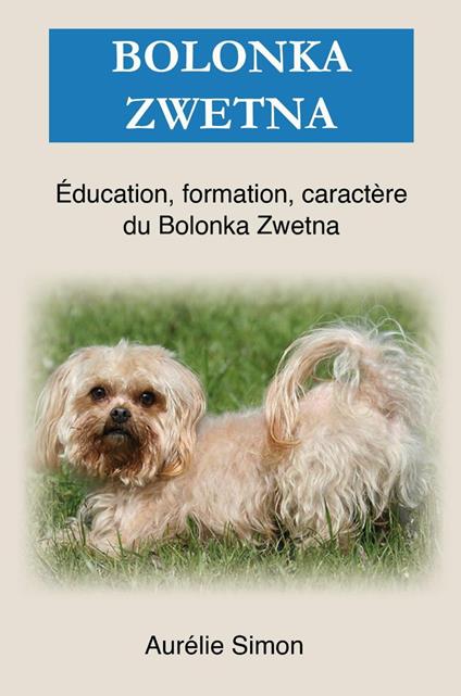 Bolonka Zwetna : Éducation, Formation, Caractère