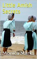 Little Amish Secrets