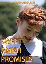 Sweet Amish Promises