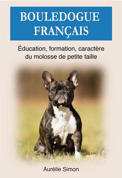 Bouledogue Français : Education, Formation, Caractère du molosse de petite taille