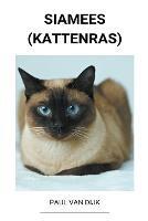 Siamees (Kattenras)