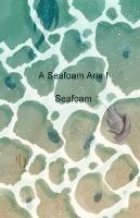 A Seafoam Aria 1