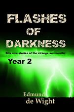 Flashes of Darkness Year 2