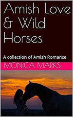 Amish Love & Wild Horses