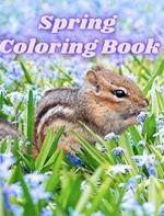 Spring Coloring Book: Springtime Adult Coloring Pages with Butterflies, Wildflowers, Birds and Easy