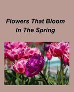 Flowers That Bloom In The Spring: Gardens Flowers Spring Seasons Colorful Plants