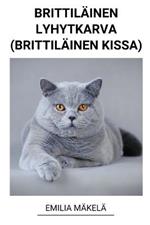 Brittilainen Lyhytkarva (Brittilainen Kissa)