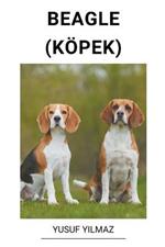 Beagle (Koepek)