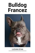 Bulldog Francez