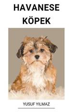 Havanese Koepek