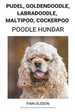 Pudel, Goldendoodle, Labradoodle, Maltipoo, Cockerpoo (Poodle Hundar)