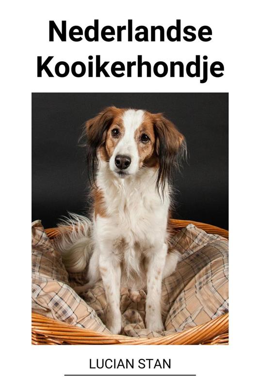 Nederlandse Kooikerhondje