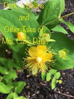 Pork 'n Beans and Other Tales of Mrs. Callie Pitts