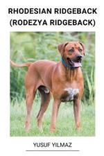 Rhodesian Ridgeback (Rodezya Ridgeback)