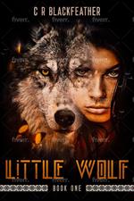 Little Wolf I