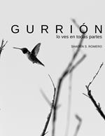 Gurrión: Lo ves en todas partes