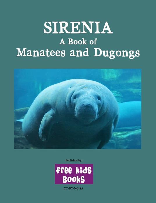 Sirenia: A Book of Manatees and Dugongs - Danielle Bruckert - ebook