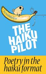 The Haiku Pilot