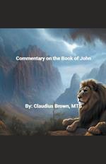 Commentary on the Book of John