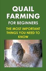 Quail Farming For Beginners: The Most Important Things You Need To Know