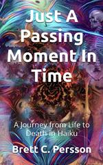 Just A Passing Moment In Time