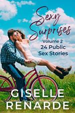 Sexy Surprises Volume 2: 24 Public Sex Stories