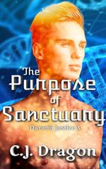 The Purpose of Sanctuary