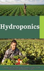 Hydroponics_ Growing Plants without Soil for High-Yield Production