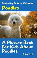 A Picture Book for Kids About Poodles